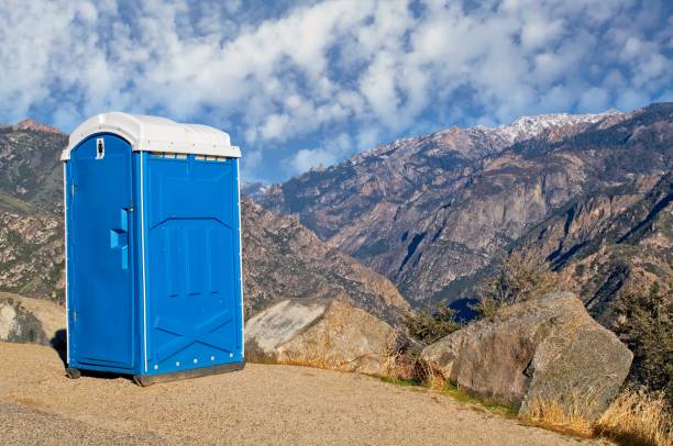 Best Affordable portable toilet rental  in Pigeon, MI